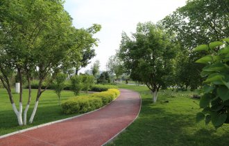 時令植保丨夏季園林苗木養(yǎng)護(hù)的7個技術(shù)要點(diǎn)